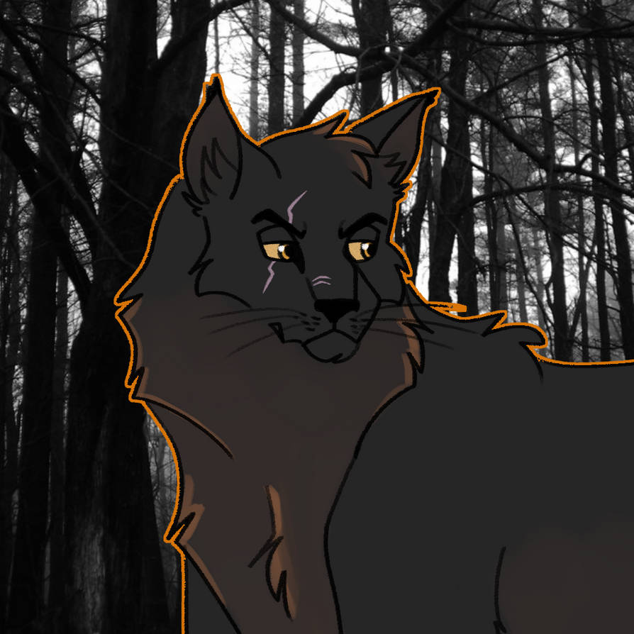 Slate Halfbody By Beaaaats On Deviantart Slate Halfbody By Beaaaats On Deviantart