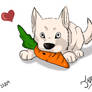 Bolt And Mr.Carrot