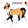Caramel - Ref.Sheet 2010