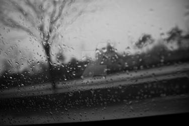 Rain on a Window