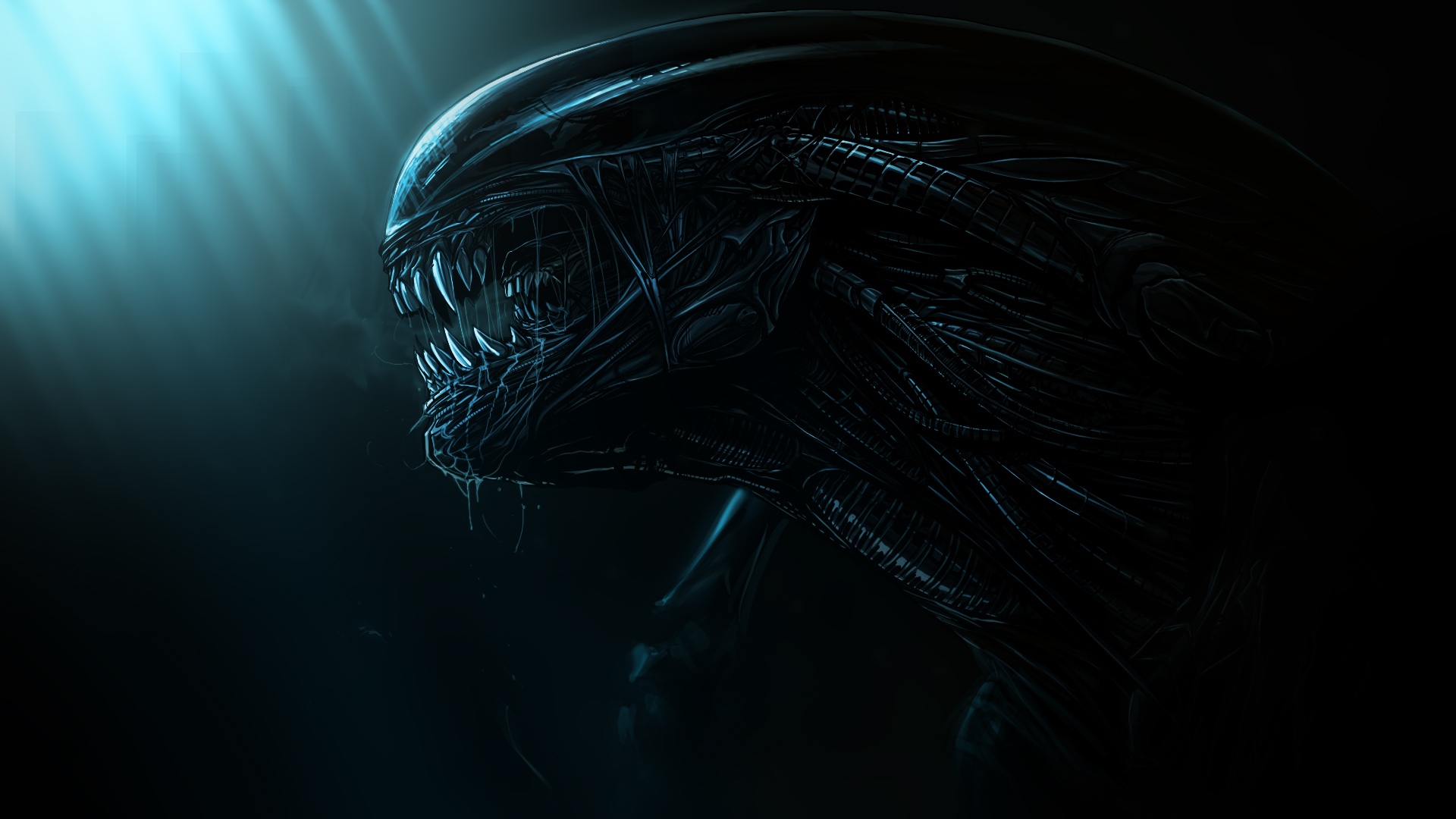 Xenomorph Fan Art