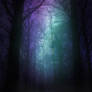 Premade Background - Aurora Woods