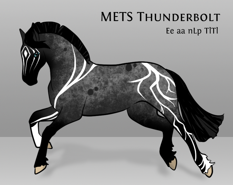 4360 METS Thunderbolt