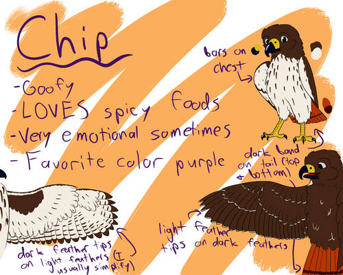 New Chip Reference