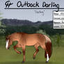 CH Outback Darling