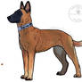 This mally a malinois