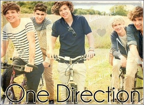 One Direction 1