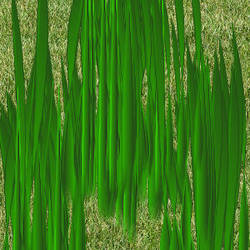 computer grass