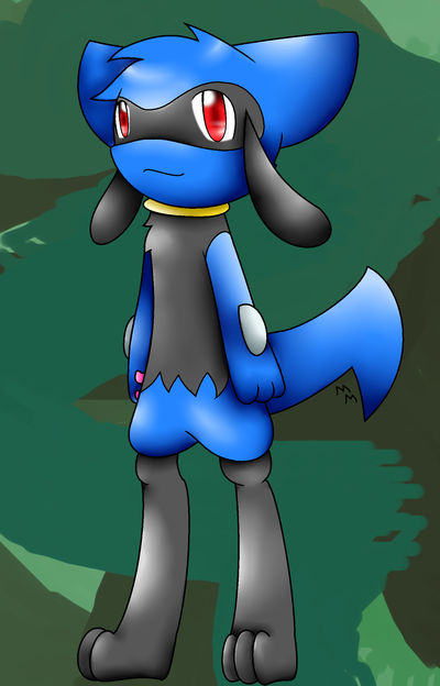 Riolu Template- Used by EmpurrorMooks on DeviantArt