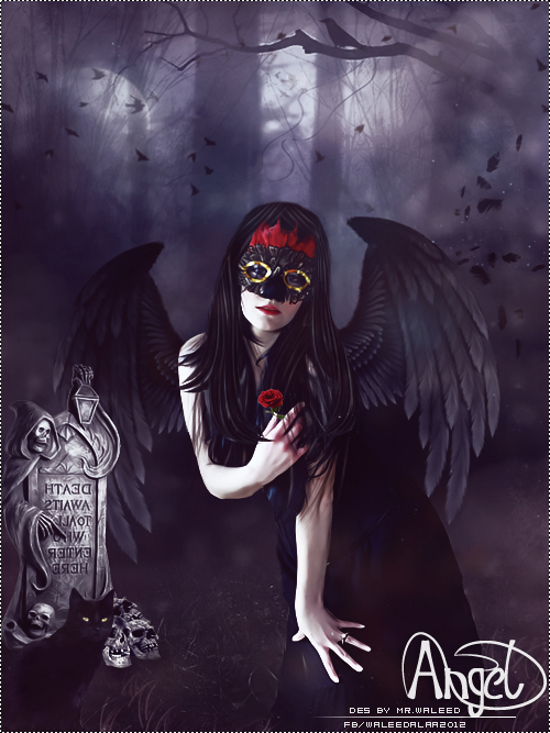 dark angel