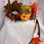 Autumn Mask I