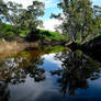 Reflections on the Wakefield River