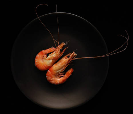 Prawns