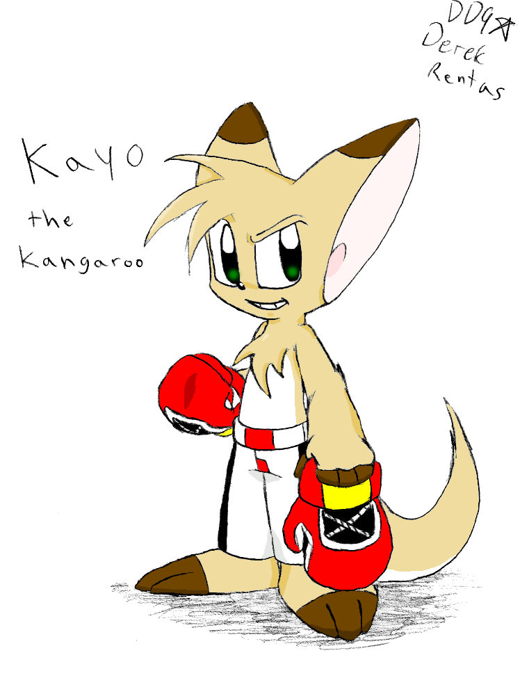 Kayo the Kangaroo