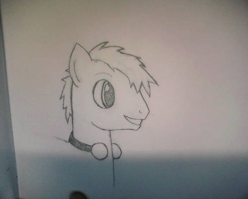 a random pony i drew