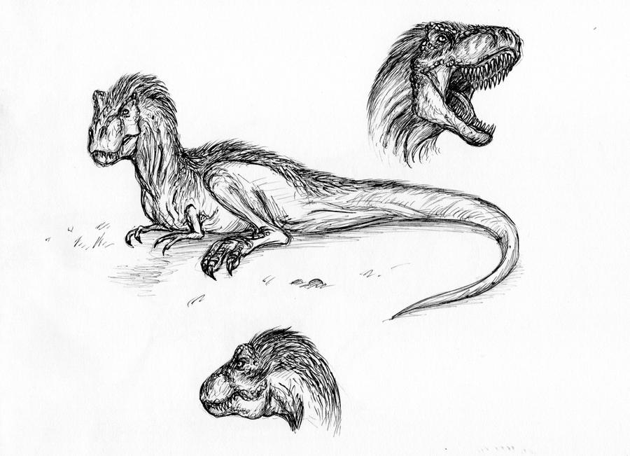 Tyrannosaurus sketch_3