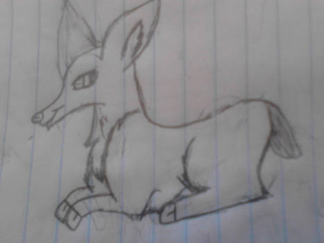 laying doe drawing