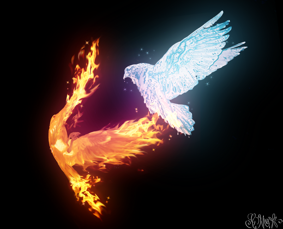 Файер айс. Птица Феникс. Огненная птица. Ледяной и Огненный Феникс. Огненный голубь.