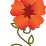 Floral and Vine