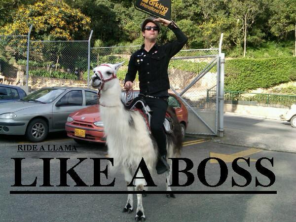 Like A Boss EDIT