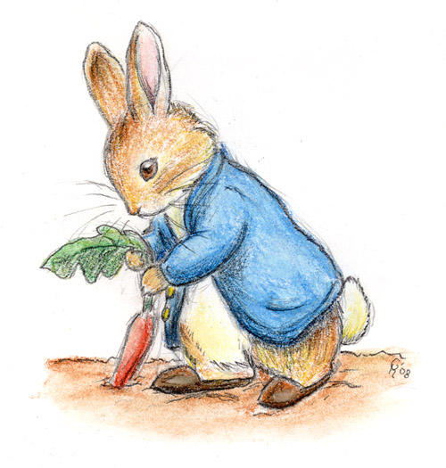 Peter Rabbit by Porcubird on DeviantArt