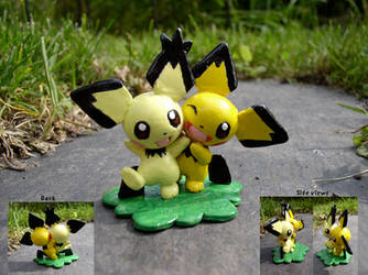 Shiny Boy and Gizamimi Pichu