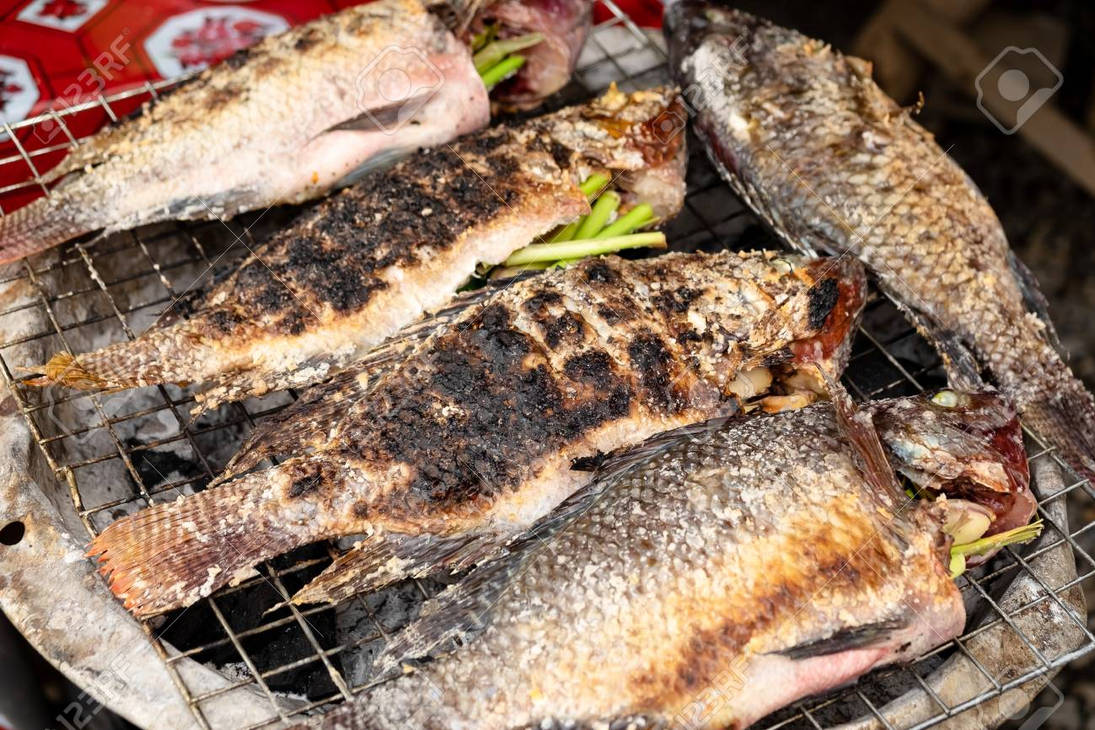 122242269-grilled-tilapia-fish-with-herbs-healthy-