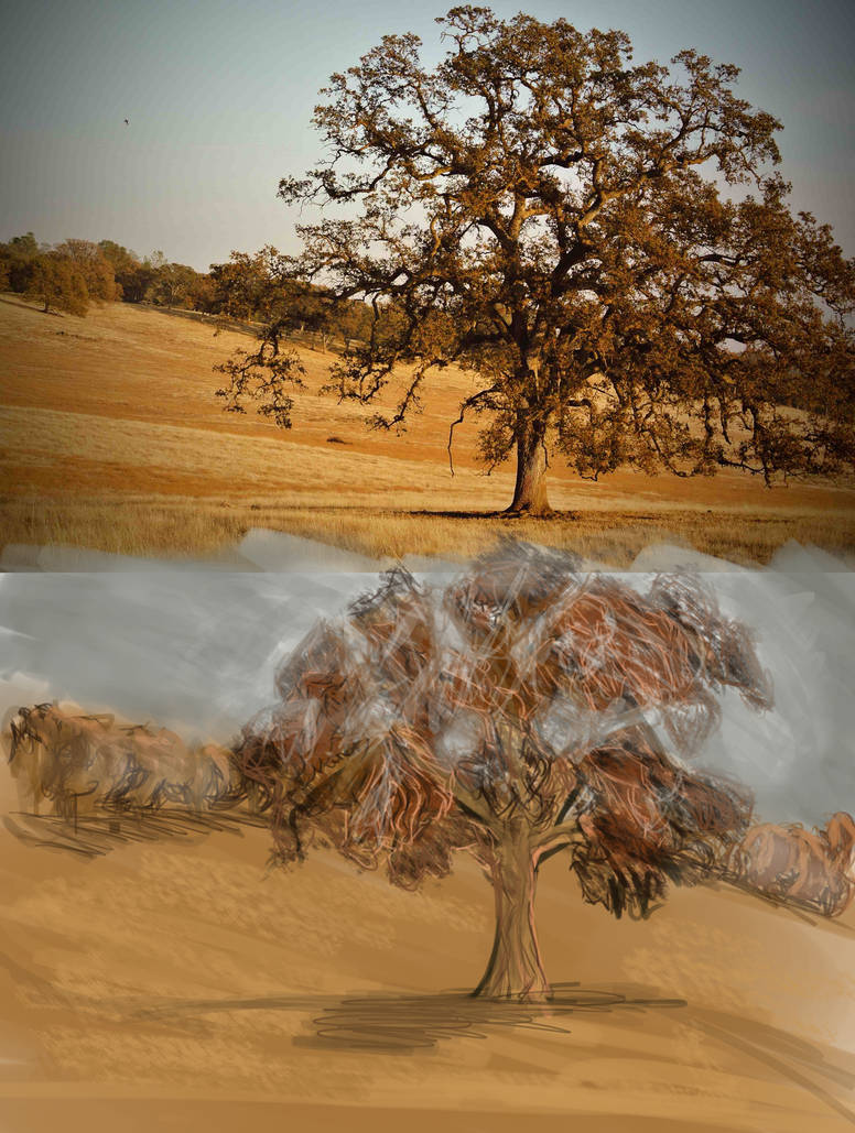 Messy Tree by EmptyChairsPro on DeviantArt