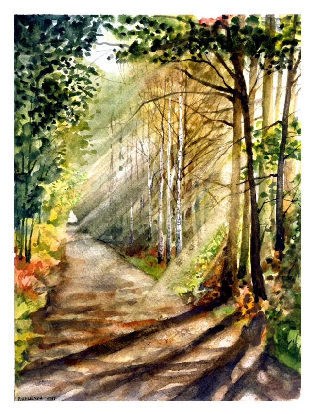 Forest path