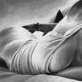 Roll Me Over