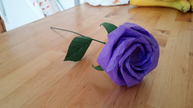 Tissue Rose