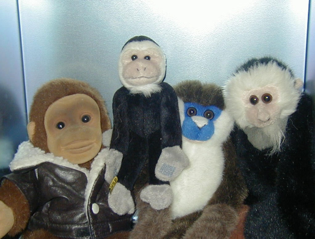 Stoopid Monkeys by psychonox on DeviantArt