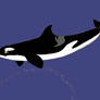 Killer whale