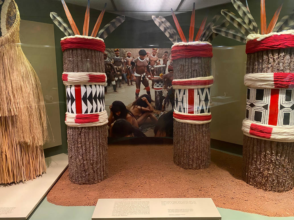 Indigenous Amazonian Instruments Amazonian ceremonial drums by Tigerclaw82 on DeviantArt
