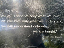 Conservation quote