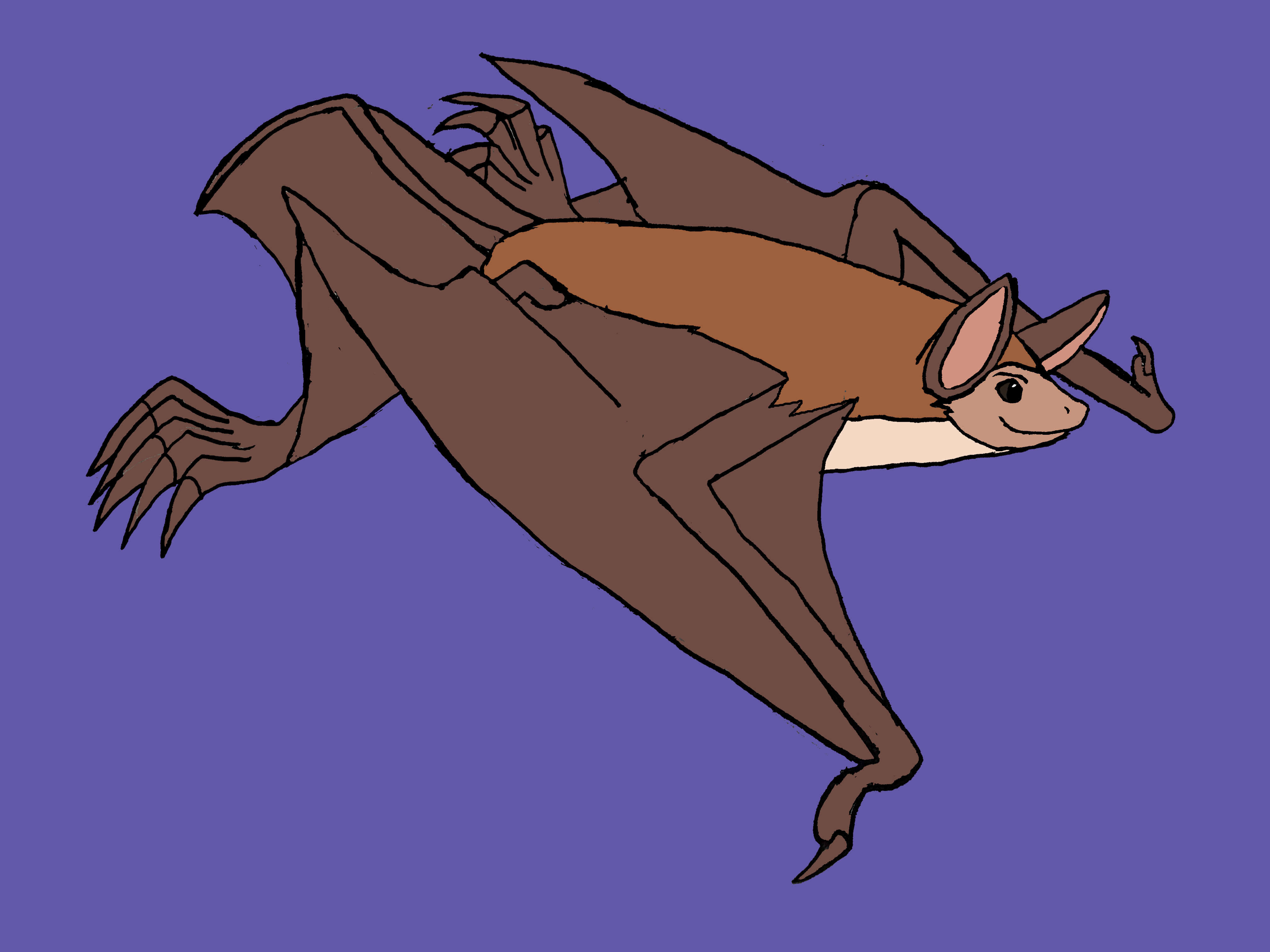 Fish Bat Drawing Fish-eating bat by Tigerclaw82 on DeviantArt