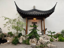 Aster Court Chinese Garden
