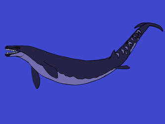 Basilosaurus