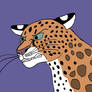Confrontational Leopard