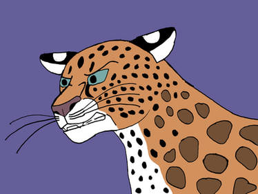 Confrontational Leopard
