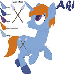 Aki Reference Sheet