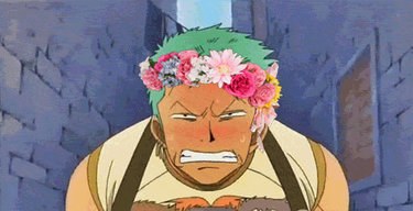 zoro flower crown :3