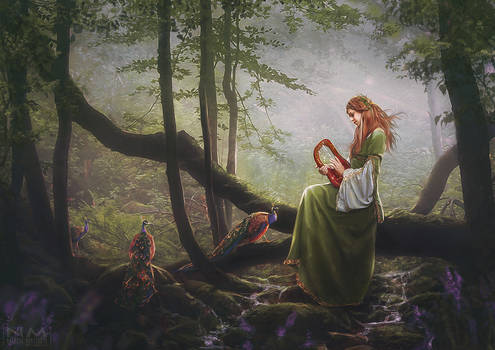 the song of the forest