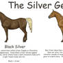 Equine Colors- The Silver Gene