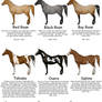 Equine Colors- White Patterns