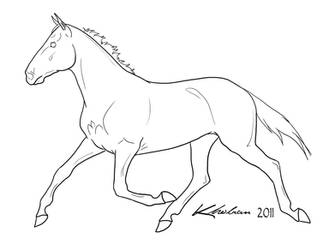 Standardbred Lineart