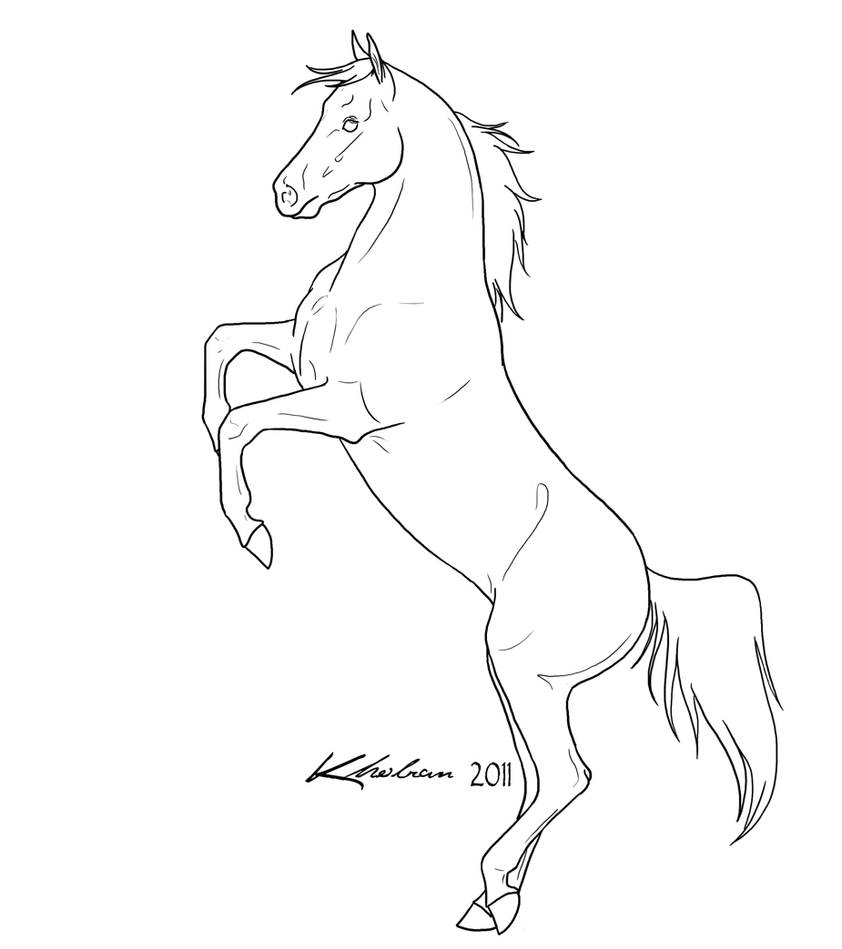 Rearing Horse Lineart by Kholran on DeviantArt