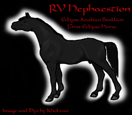 VHR-Hephaestion, Arab Stallion