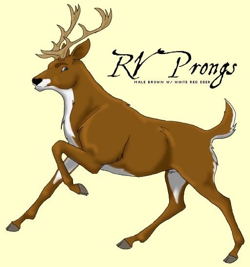 Prongs