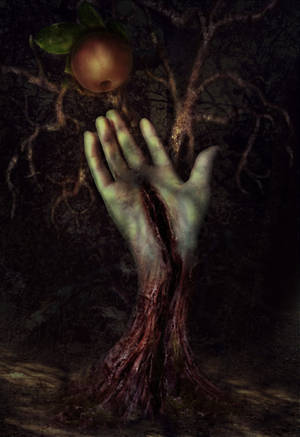 Stigmata by Poglazovs Stigmata by Poglazovs